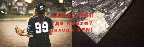индика Краснослободск