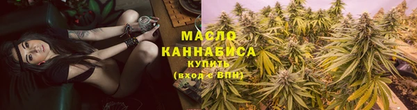 индика Краснослободск