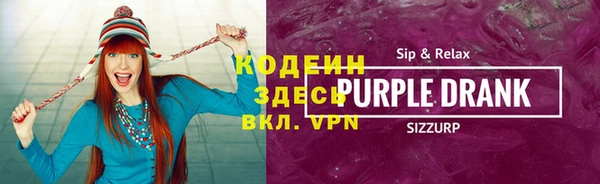 индика Краснослободск