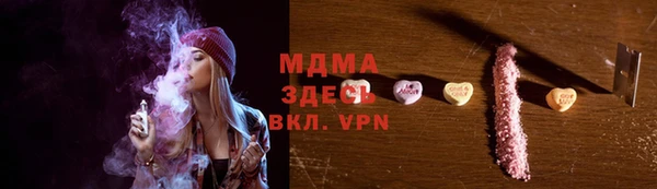 индика Краснослободск
