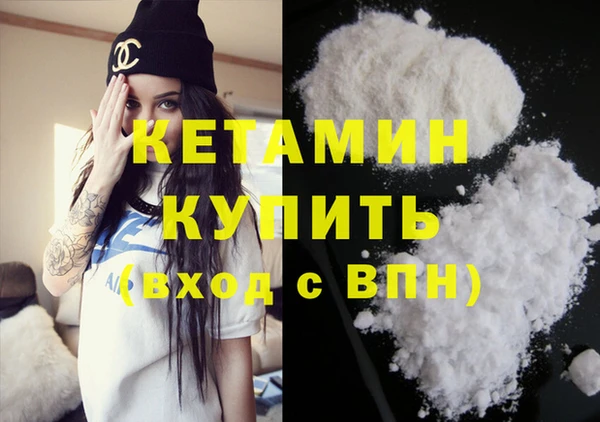 индика Краснослободск