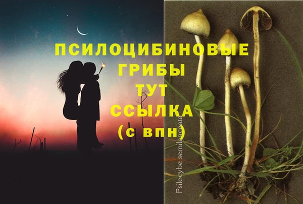 дмт Краснотурьинск