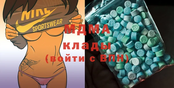 индика Краснослободск