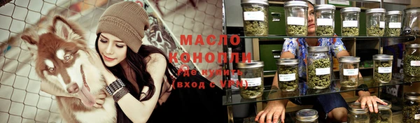 индика Краснослободск