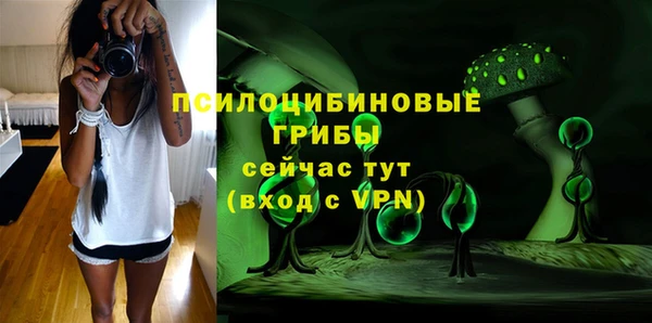 индика Краснослободск