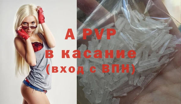 индика Краснослободск