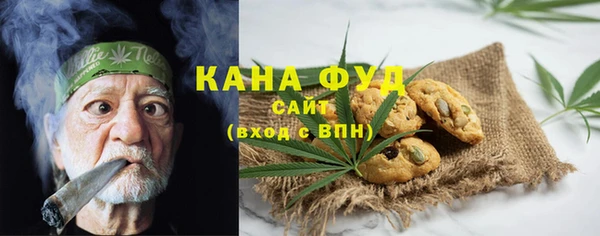 индика Краснослободск