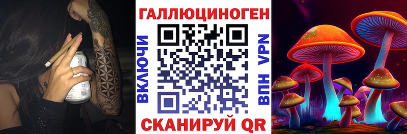 Галлюциногенные грибы Psilocybe  блэк спрут онион  Арзамас 